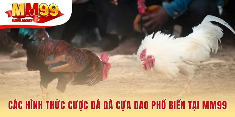 Ba cửa cược chính gồm Meron Wala và BDD