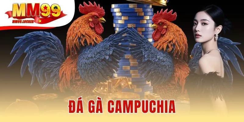 Đá gà Campuchia