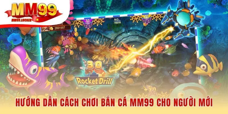 Bốn bước đơn giản để người mới bắt đầu hành trình săn thưởng